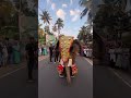 Elephant dance for kaavaalaa song  kaavaalaa tamannaah tamanna elephant rajinikanth anirudh