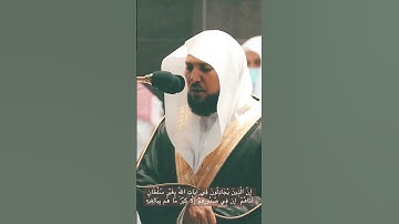إن الذين يجادلون في آيات الله بغير سلطان. المعيقلي