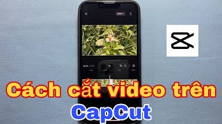 Cách cắt video trên CapCut