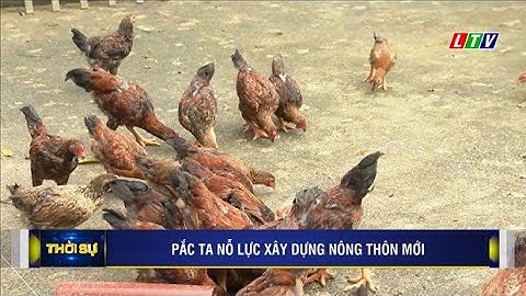 LAI CHÂU - PẮC TA NỖ LỰC XÂY DỰNG NÔNG THÔN MỚI