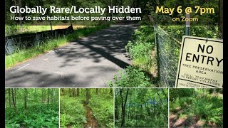 Globally Rare/Locally Hidden: How to save habitats before paving over them