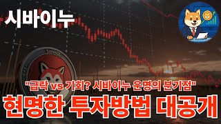 [시바이누코인] 시바이누현명한 투자방법, &quot;이렇게&quot; 따라만하세요. 기회는 잡으시는 겁니다.