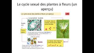 la génétique mandelienneوراثة مندل