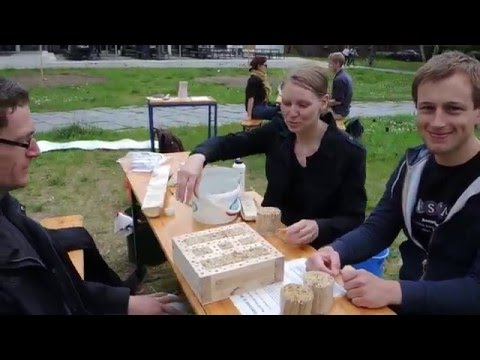 Aufbau einer Wildbienennisthilfe an der Mensa der Freien Universität Berlin - Veggie No. 1