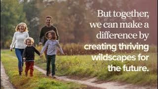 Reimagining Places for Nature with Wates Wildscape  landscape