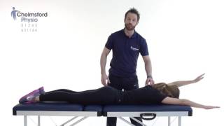 Chelmsford Physio | Core - opposite arm leg extension