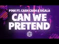 P NK Can We Pretend Sigala Remix Lyrics Ft Cash Cash mp3