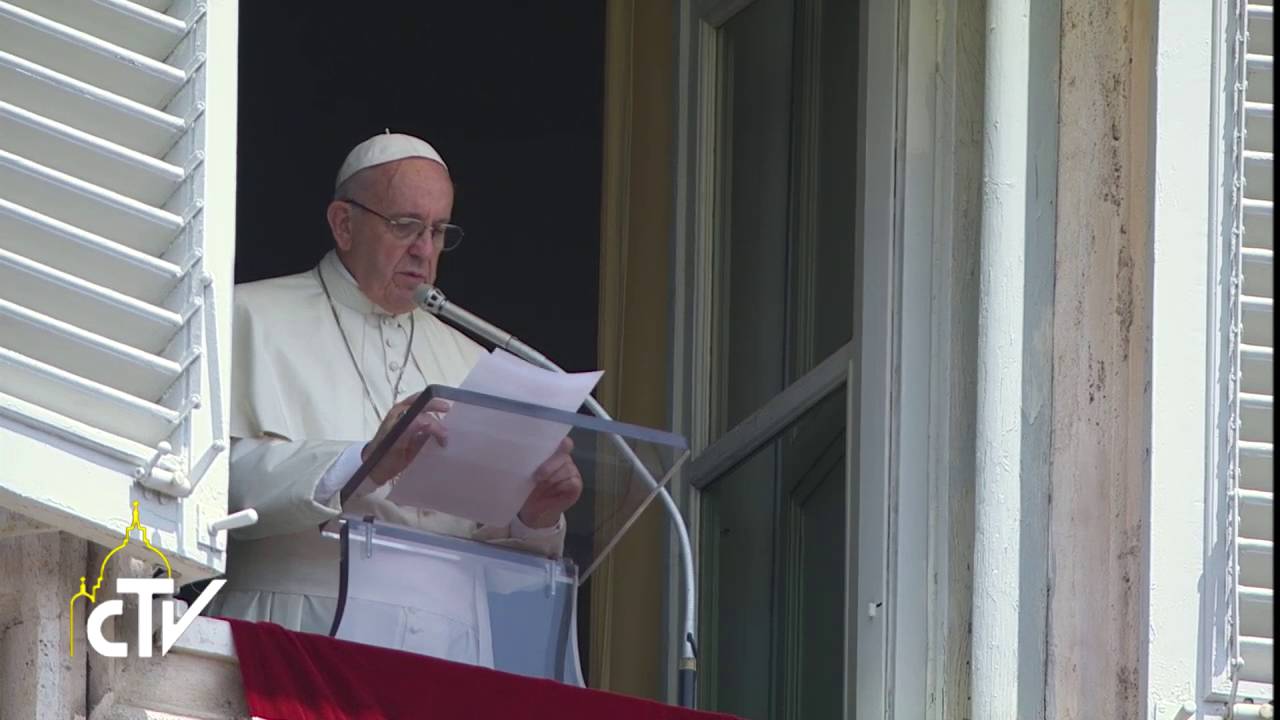 papa francesco wikipedia Appello Angelus 24.0.2016