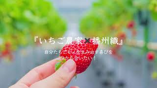 イチゴ農家❌播州織