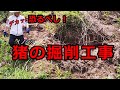 猪の驚異の掘削力をみてください!これ正直言って全員が恐怖心しかありませんでした。