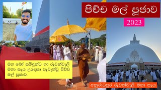 Pichcha Mal Puujawa | Anuradhapura Ruwanweli Maha Seya | පිච්ච මල් පූජාව 2023 අනුරාධපුර by Soyanna සොයන්නා 2,285 views 10 months ago 4 minutes, 28 seconds
