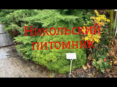 Питомник в никольском. Никольский питомник Белгород. Питомник в Никольском Белгородской. Поворот от Никольского на питомник. Питомник Love Berry.