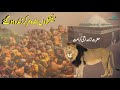 Hazrat badiuddin zinda shah madar aur hindushah madar inspirational history  documentary in urdu