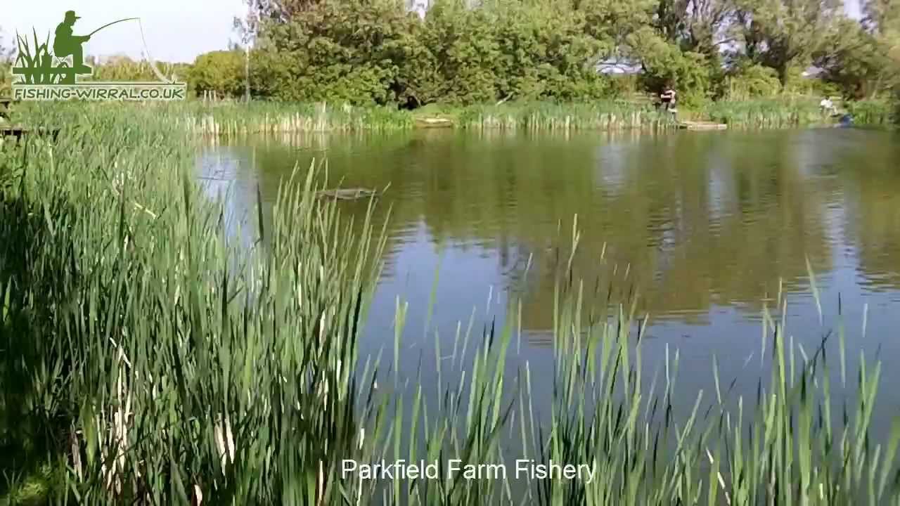 Fishing-Wirral.co.uk: Parkfield Farm Fishery 