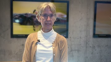 Prof Siobhan Fennessy, STRP Vice-Chair message on coastal wetlands