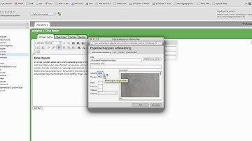 Allegro CMS - plaatsen van een afbeelding