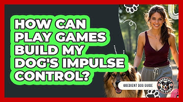 How Can Play Games Build My Dog