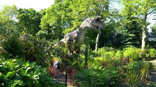 Tyrannosaurus rex caught at ZOO Flushing New York