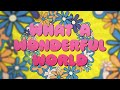 Miniature de la vidéo de la chanson What A Wonderful World