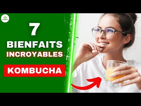 Vidéo: Quel goût a le kombucha ?