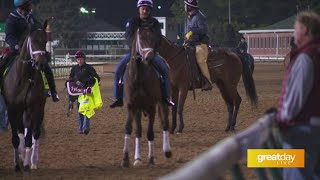 GDL: Churchill Downs Discusses How They Will Ensure Equine Safety