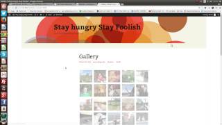 flickr instagram picasa gallery flickr instagram picasa gallery