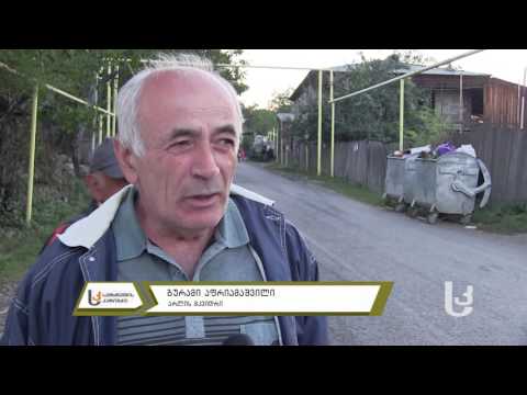 კითხვები მაჟორიტარს [არალი]