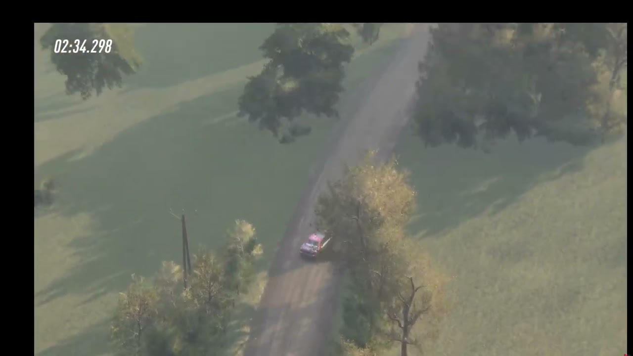 Dirt Rally 2.0 controller  Impressa almost PR