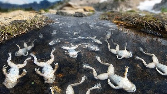 Фильмдердегі секс көріністерінің жинағы Сочидегі қыз жыныстық қатынасқа түсуді қалайды және бұл үшін жігіт іздейді.