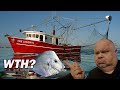 Ever Wonder WHAT GETS CAUGHT In Shrimp Nets BESIDES SHRIMP!?