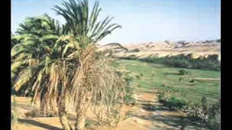 سورة النبأ - القارىء محمد عبدالكريم
