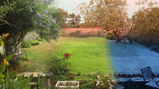 3 Year garden plants growing Time Lapse by Warren Photographic 21,189 views 3 years ago 2 minutes, 58 seconds