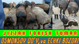 TALABLARGA KO'RA FORISH OSMONSOY QO'Y VA ECHKI BOZORI 🐐🐏🐑 NARXLARI XARXILIDAN 💥