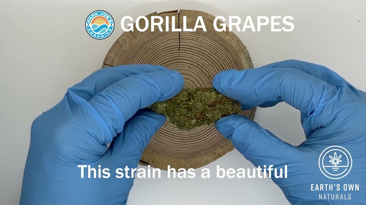 Gorilla Grapes - Papa Joe's Organics