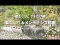 【ガーデニング m3】花壇をひたすら草むしり＆メンテナンス笑