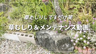 【ガーデニング m3】花壇をひたすら草むしり＆メンテナンス笑