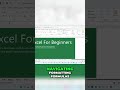 ✅ Excel Basics From Beginner to Spreadsheet Pro (2025 Guide for US Users) 📊
