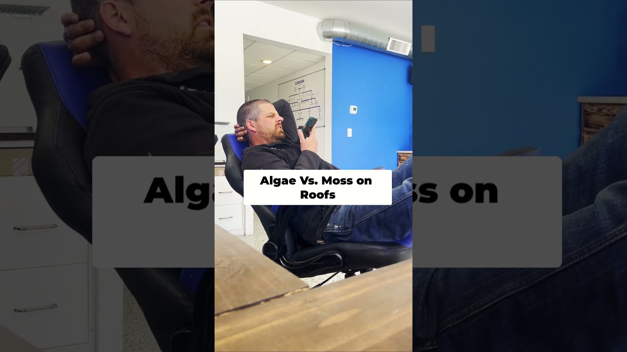 Algae Vs. Moss on Roofs.