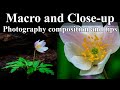 HOW TO USE Macro &amp; Telephoto lenses for Close-up Photography