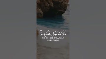 #القرآن_الكريم #foryou #fypシ #راحة_نفسية #تلاوة_هادئة #صوت_جميل#عبدالرحمن_مسعد