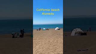 Alameda beach California #alameda #california #sanfrancisco #oakland #kiminotoriko