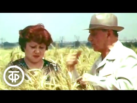 Моя Кабардино-Балкария. Документальный фильм (1981)