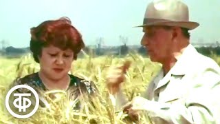 Моя Кабардино-Балкария. Документальный фильм (1981)