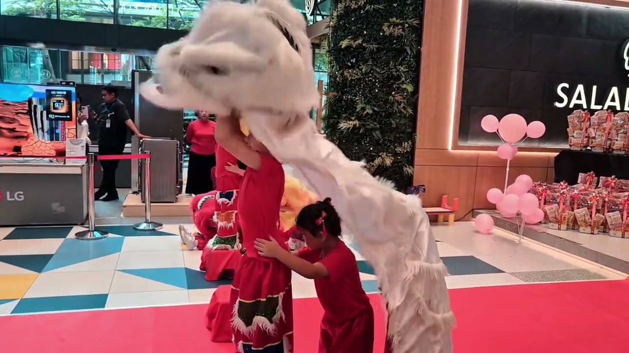 ROGER JADI BARONGSAI 🤣😂 MENANG FASHIONSHOW JUGA 🥰😍😘 