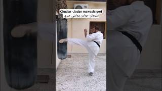 Chudan -Jodan Mawashi Geri /تشودان جودان مواشي جيري