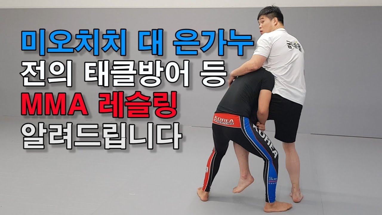 미오치치 대 은가누 전의 태클방어 등 MMA 레슬링 알려드립니다.
