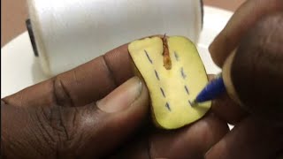 Retour Daffection Très Puissant Recette Magique Pour Faire Revenir Lêtre Aimé Rapidement