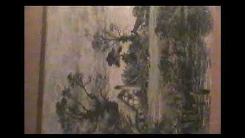 sunshowerr - link rot [video]