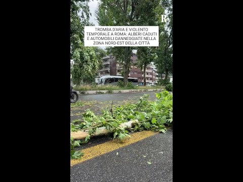 Video Maltempo a Roma, alberi caduti e macchine danneggiate