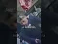 UNA MUJER LE PUSO VENENO PARA RATAS AL TERMO DE SU COMPAÑERO